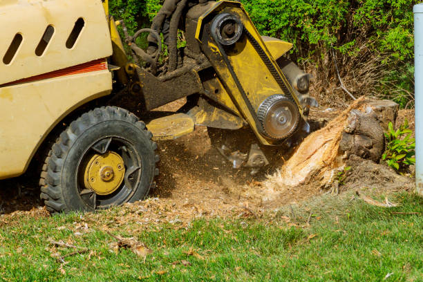 Lawn Drainage Solutions in Greens Farms, CT